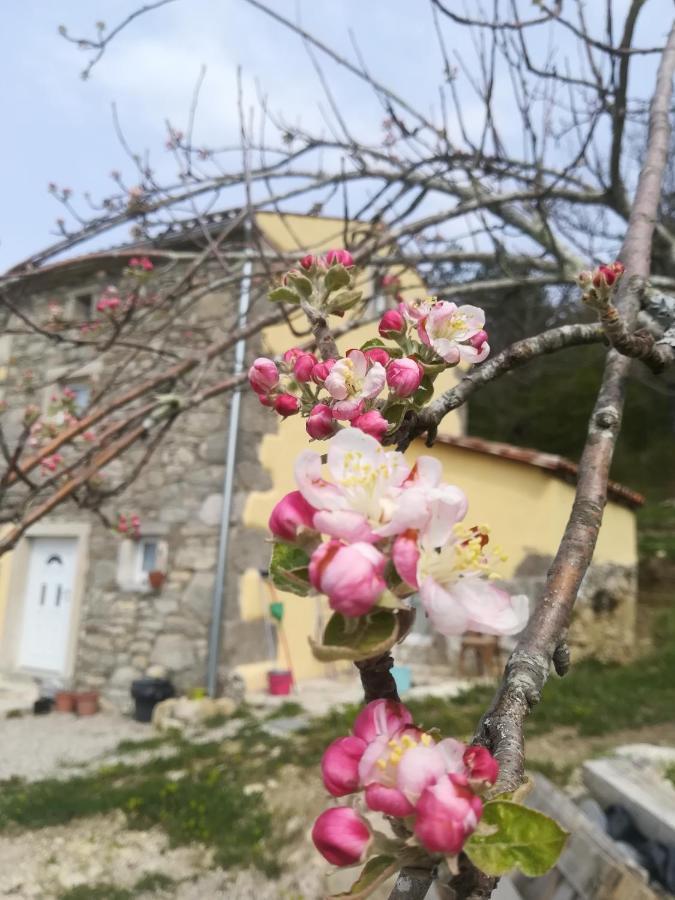Skalameri Kozljak 외부 사진